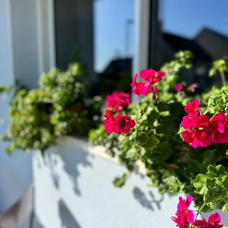 La Maison Bleue - Plain-Pied Proche Plages Et Caen Rosel Eksteriør billede