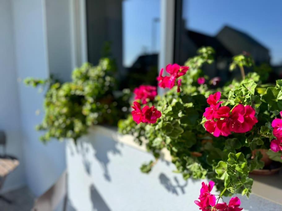 La Maison Bleue - Plain-Pied Proche Plages Et Caen Rosel Eksteriør billede